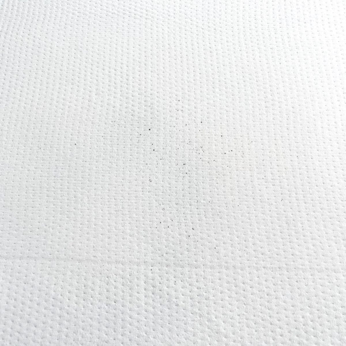 カビてしまったマットレスの画像