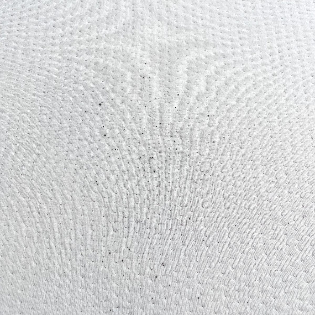 カビてしまったマットレスの画像の拡大版